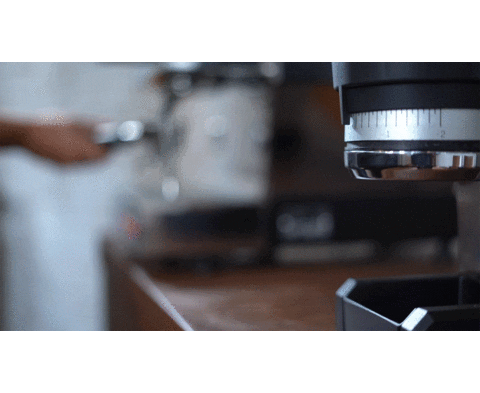 Swift Mini Sticker by La Marzocco Home