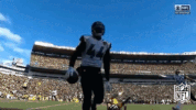 Jacksonville Jaguars Football GIF by NFL