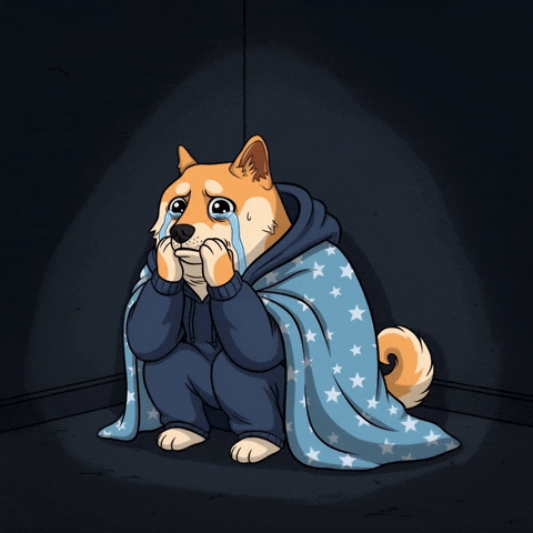 Sad Shiba Inu GIF by Doge Pound