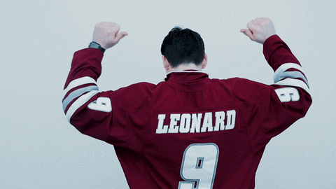 ncaasports giphyupload hockey college ncaa GIF