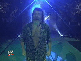 wwe sports wwe wrestling 1994 GIF