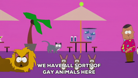 gay lion GIF by South Park 