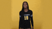 Cal State La Ncaa GIF by Cal State LA Golden Eagles