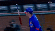 Cubs GIF by Marquee Sports Network