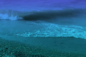 desireedynamite beach wave ocean sea GIF