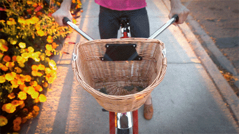 GIF by by The Barkers