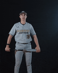 Baseball Bat GIF by Purdue Fort Wayne Athletics