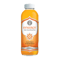 Fall Autumn Sticker by GTsKombucha