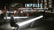 Toronto Waterfront GIF by Waterfront BIA