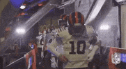2019 Nfl Football GIF by NFL