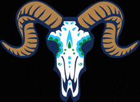 Yard Goats Smile GIF by Hartford Yard Goats