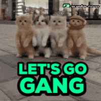 Excited Lets Go GIF by Zypto