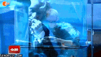 puzzle rubiks cube GIF by Cheezburger