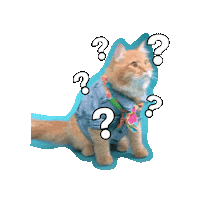 Cat What Sticker by Atome.SG