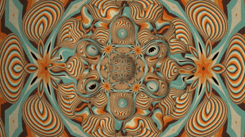 Transform 003