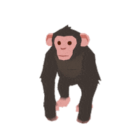 Chimpanzee Forester Sticker