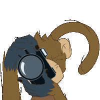 Photo Monkey Sticker by vrpixel communication agency