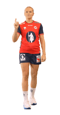 Euro 2024 Handball Sticker by Norges Håndballforbund