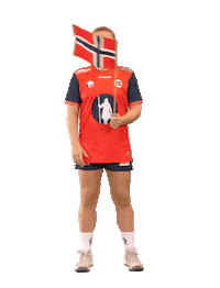 Euro 2024 Handball Sticker by Norges Håndballforbund