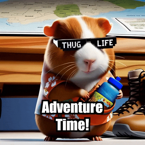 Adventure Time Weekend GIF by Guinea Gambino