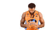 Sport Basketball Sticker by Basket_fi