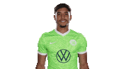 Football Thumbs Up Sticker by VfL Wolfsburg