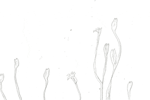 animation art GIF by Katie Drew