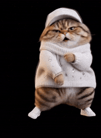 Dance Dancing GIF