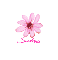 Sundress Sticker by Glamour in Rose