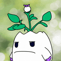 I Dont Care Wow GIF by Magic Eden