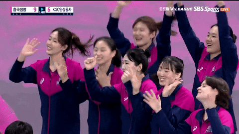 seotor_7 giphyupload GIF