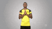 borussia dortmund hello GIF by Bundesliga