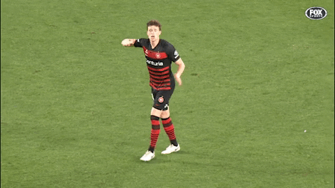 Western Sydney Wanderers Football GIF by wswanderersfc