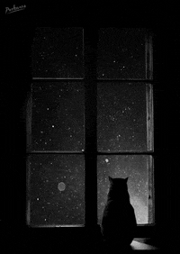 fashion news GIF by PEEKASSO