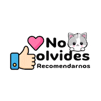 Cat Sticker