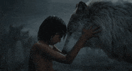 The Jungle Book Raksha GIF by Disney