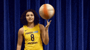 basketball sport GIF by Indiana Fever