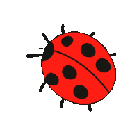 CiudadCiencia animal ladybug ciencia insecto Sticker