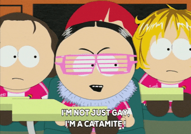 gay craig tucker GIF by South Park 