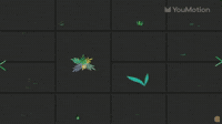 Animated Flowers Animations