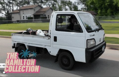 Silly Car GIF by TheHamiltonCollection