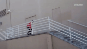 skate skating GIF by KING OF THE ROAD