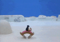 Noot Noot GIF