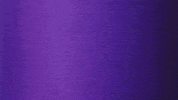 GIF by Ilka & Franz