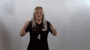 Wheeling University GIF by WU Cardinals