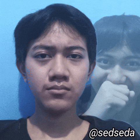 Sedseda GIF