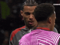 Liverpool Fans GIF
