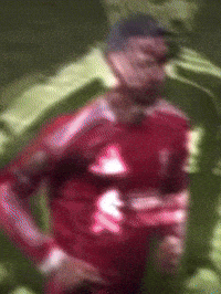 Liverpool Fans GIF