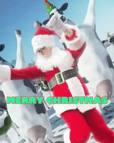 Merry Christmas GIF by Respective