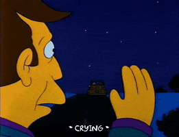 Season 2 GIF by The Simpsons